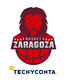CAI ZARAGOZA logo